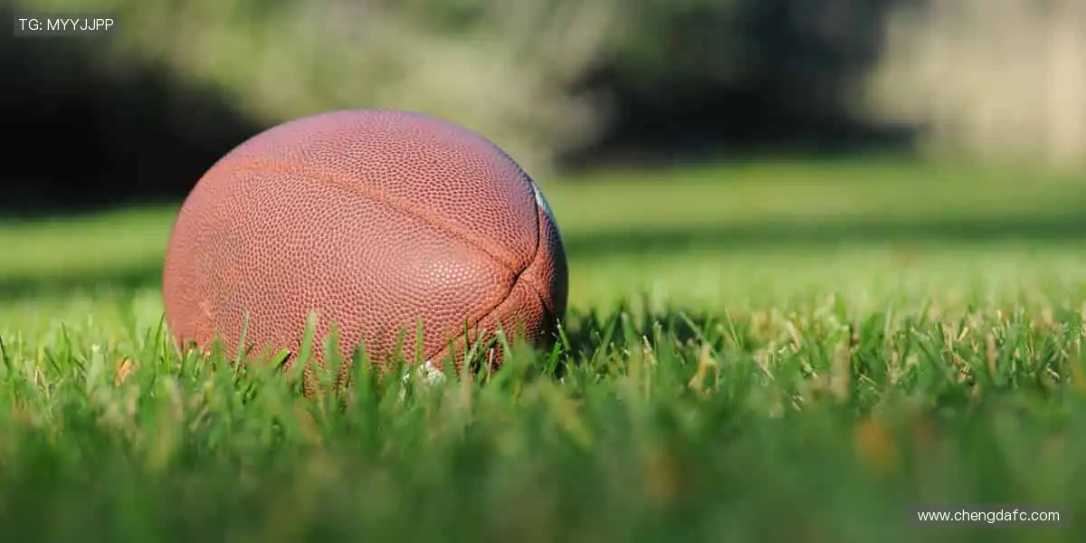 🏆巅峰对决,见证冠军诞生的荣耀瞬间!🏅